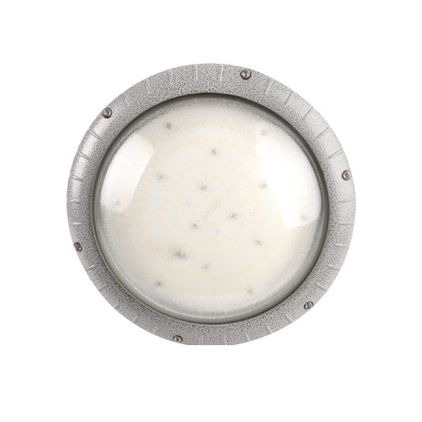BFL810 防爆 LED 泛光灯 BFL810 防爆 LED 泛光灯