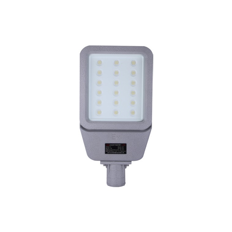 BFL804 防爆 LED 路灯 BFL804 防爆 LED 路灯