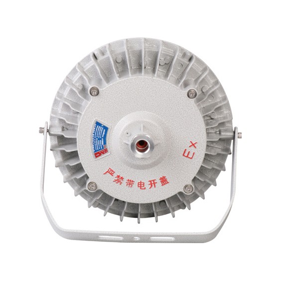 BFL830 防爆 LED 泛光灯 BFL830 防爆 LED 泛光灯