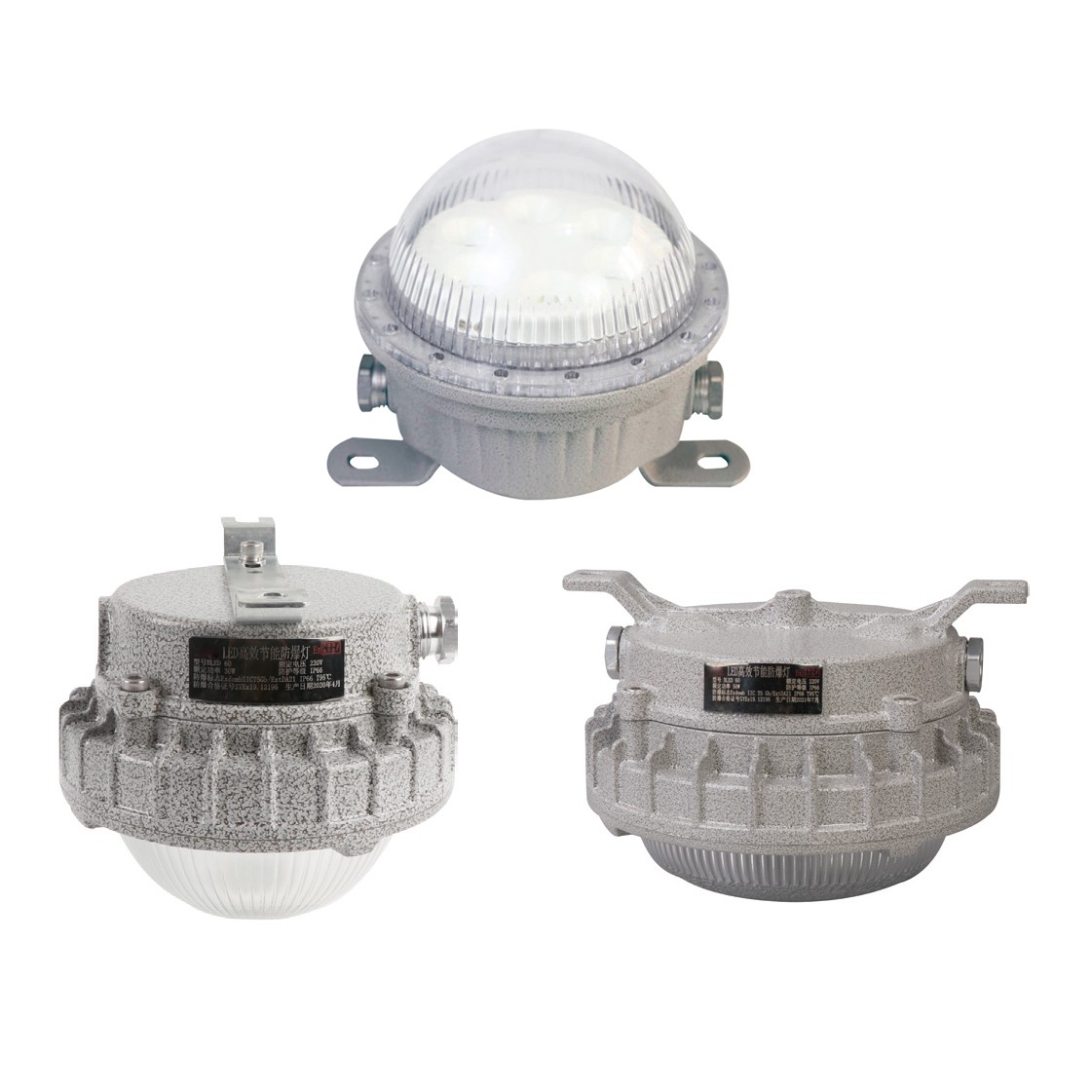 BFL822 防爆 LED 顶灯 BFL822 防爆 LED 顶灯